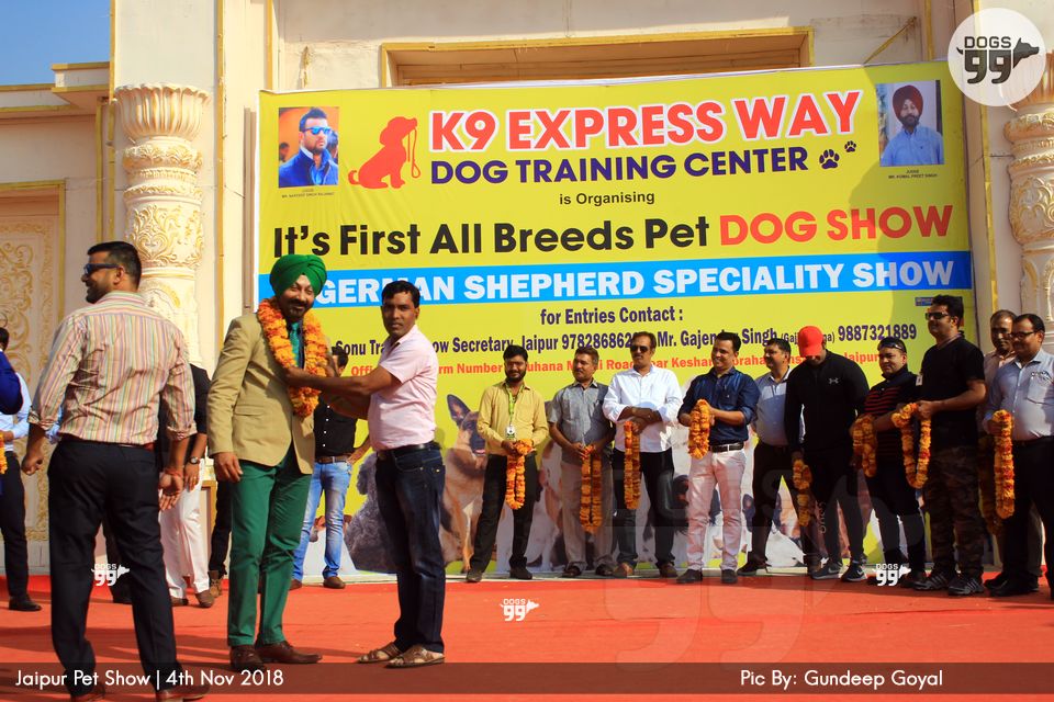Jaipur Pet Show 2018 244 Dog Shows