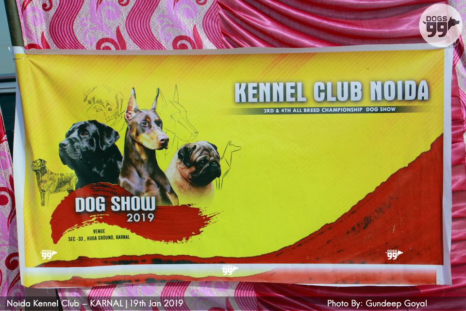 Noida Kennel Club Karnal 2019 268 Dog Shows