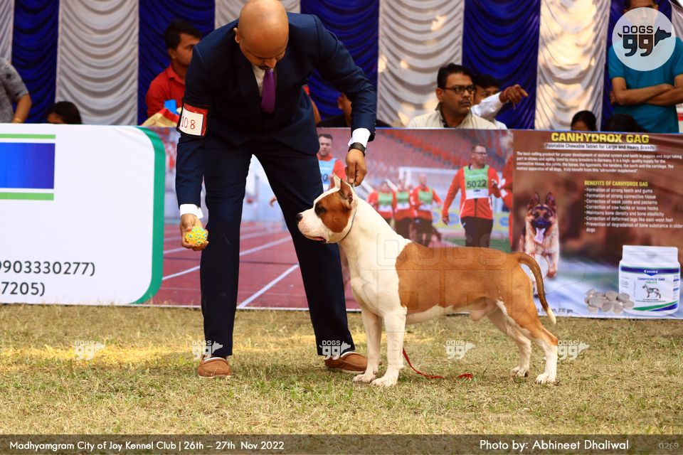 Madhyamgram Dog Show Kolkata 2022 482 Dog Shows