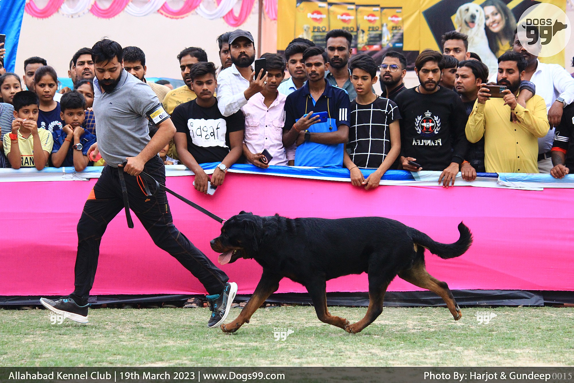 Allahabad Dog Show 2023 551 Dog Shows