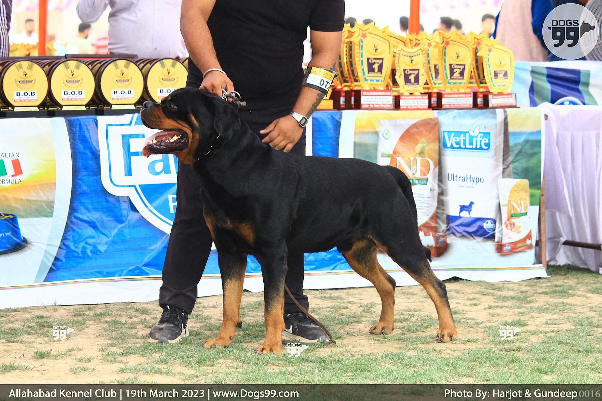 Allahabad Dog Show 2023 551 Dog Shows